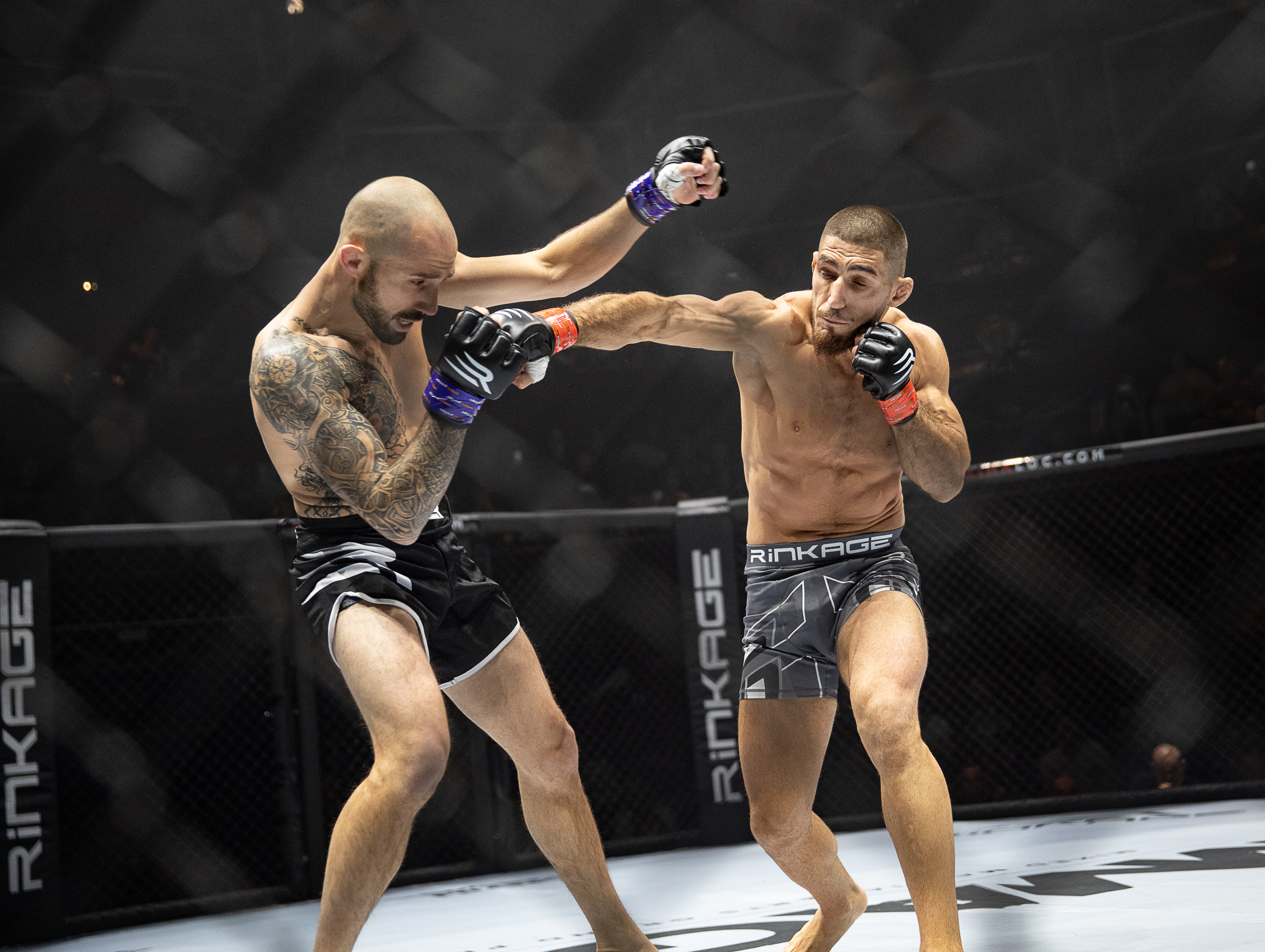 Michael Aljarouj - Photo 6