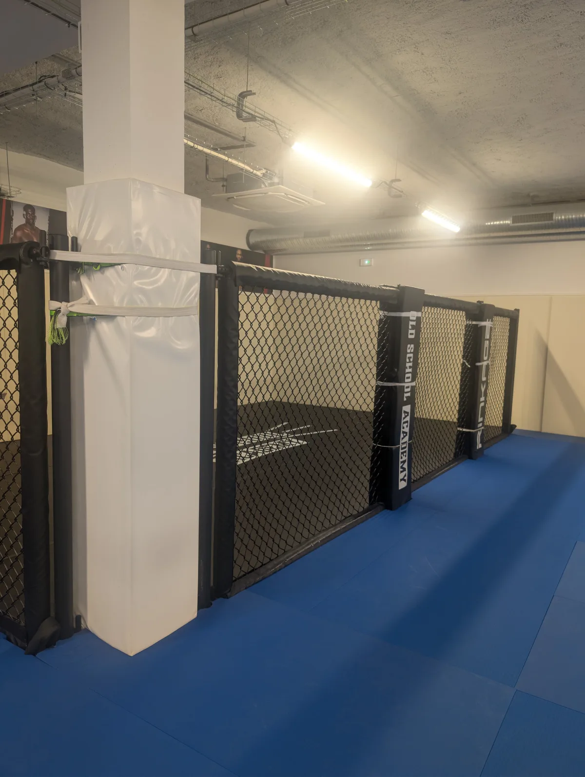 Vue d'ensemble de la cage MMA et de l'espace d'entraînement