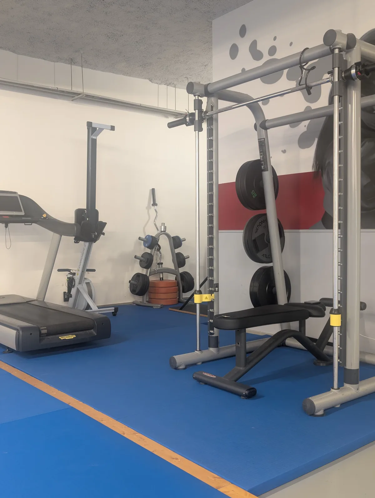 Rack de musculation avec barre olympique, haltères et disques de poids